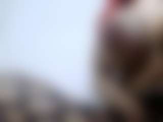 AmberAlena's Live Sex Cam Show