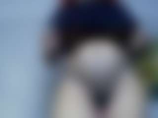 AmberAlena's Live Sex Cam Show