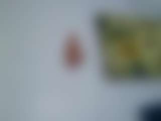AmberAlena's Live Sex Cam Show