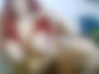 AmberAlena's Live Sex Cam Show