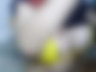 AmberAlena's Live Sex Cam Show