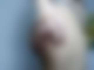 AmberAlena's Live Sex Cam Show