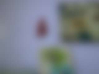 AmberAlena's Live Sex Cam Show