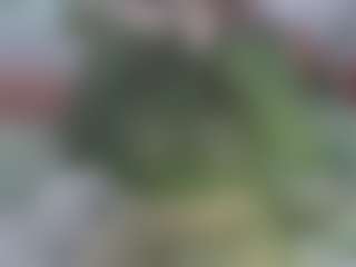 Live-sekscamshow van AmberAlena