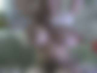 AmberAlena's Live Sex Cam Show