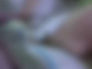 Show in cam erotica live di AmberAlena