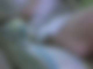 Show in cam erotica live di AmberAlena