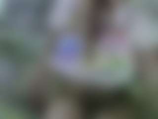 Live cam show with AmberAlena - Curvy Teen (18+) on livesuperchat.net
