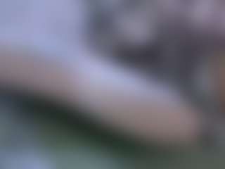 Live cam show with AmberAlena - Dirty Talk on 1on1-livenow