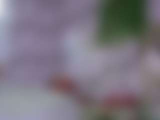 Show Live Sex Cam AmberAlena