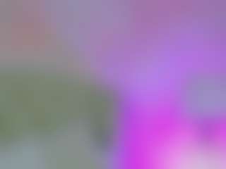 Live cam show with Anna Star - Average on Camming Site