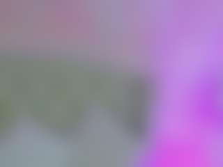 Anna Star's Live Sex Cam Show