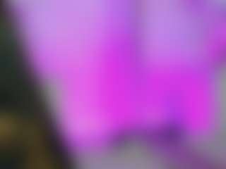 Live cam show with Anna Star - Average on livesuperchat.net