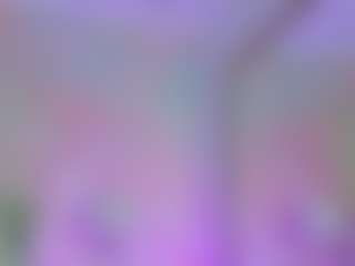 Anna Star's Live Sex Cam Show