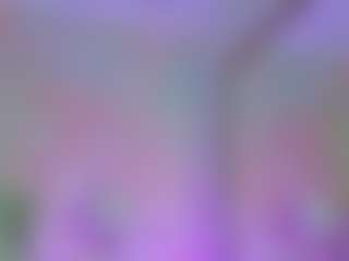 Anna Star's Live Sex Cam Show