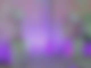 Anna Star's Live Sex Cam Show