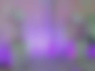 Anna Star's Live Sex Cam Show