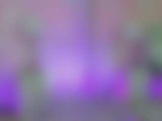 Anna Star's Live Sex Cam Show