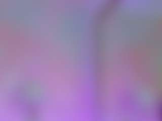 Anna Star's Live Sex Cam Show