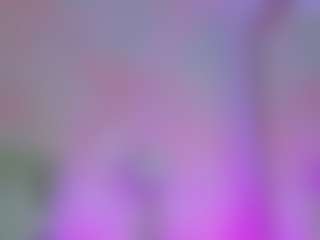 Anna Star's Live Sex Cam Show