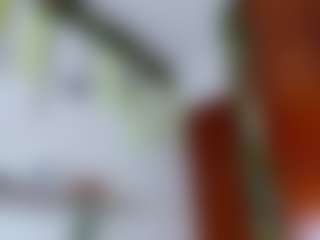 Live cam show with elikolanny - Doggy on SinfulBabes