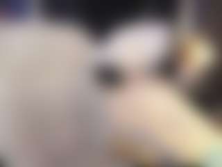 miaredfox's Live Sex Cam Show