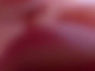 HAILEY's Live Sex Cam Show