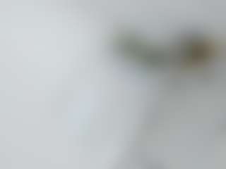 Live cam show with kairagold - Handjob on slutload