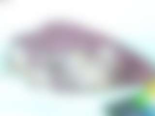 Live cam show with biglatin80 - No Smoking on camwithhim.com