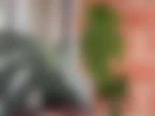 Haley's Live Sex Cam Show
