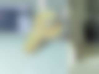 Live cam show with Emily - Bedroom on liverealitysex.com