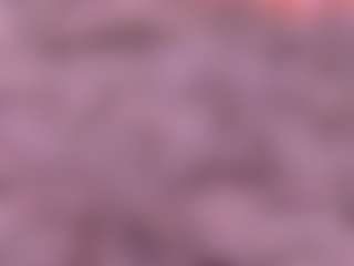 Lara Giraldo's Live Sex Cam Show