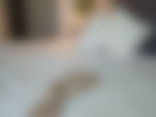 missjuliaa's Live Sex Cam Show