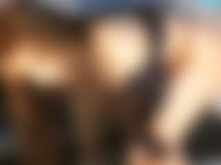 Live cam show with Desire Rodriguez - Tattoos on Soda Cam
