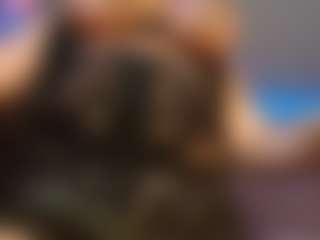 pamelaevanns's Live Sex Cam Show