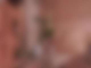 Annie Connors's Live Sex Cam Show