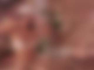 Annie Connors's Live Sex Cam Show