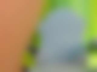 girasol-walton's Live Sex Cam Show
