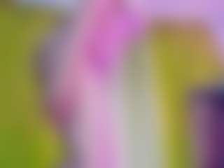 Live cam show with girasol-walton - Public Toys on Camsoda