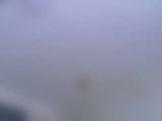 Elianabortt's Live Sex Cam Show