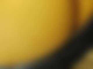 nico-robinn's Live Sex Cam Show