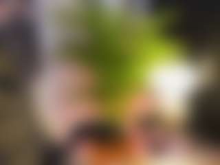 Martina's Live Sex Cam Show
