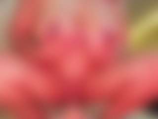 sara-seexy's Live Sex Cam Show