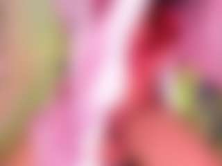 sara-seexy's Live Sex Cam Show