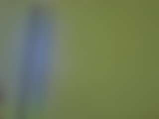 Live cam show with Karlyee - Drinking on iamadamtest123.com