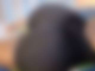 hornyafricangirl's Live Sex Cam Show