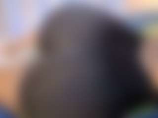 hornyafricangirl's Live Sex Cam Show