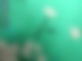 Live cam show with lexiflower1 - Green Eyes on Hubzter Live