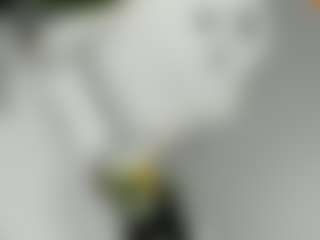 eveeevian's Live Sex Cam Show
