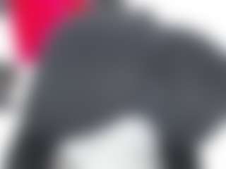 Emmily's Live Sex Cam Show
